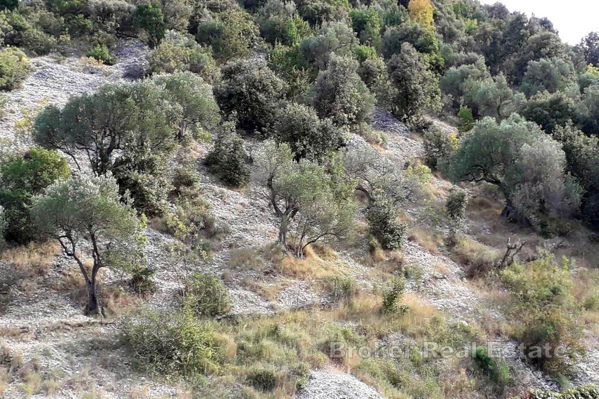 Grunt rolny z możliwością zabudowy