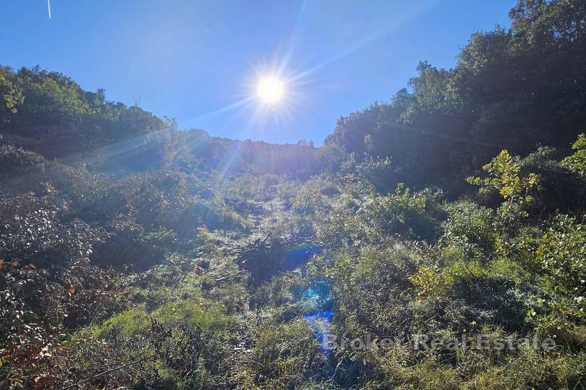 Grunt rolny z możliwością zabudowy