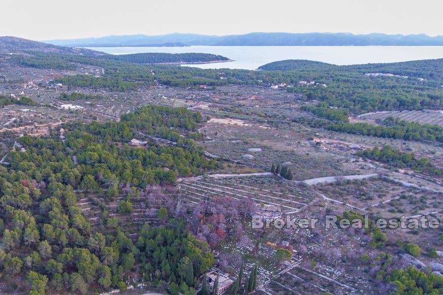 Agricultural land near the sea