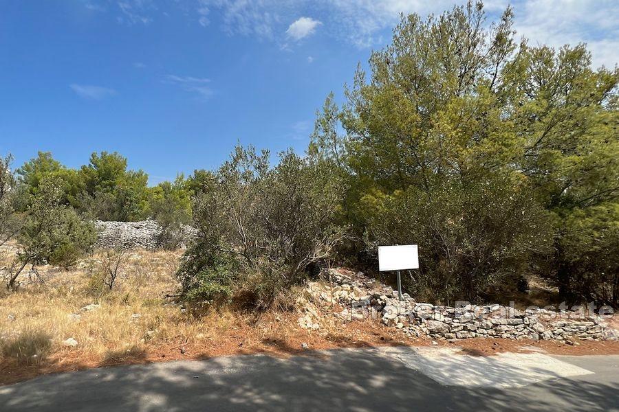 Land i T-sone nær sjøen