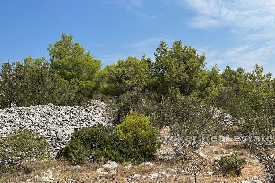 Land i T-sone nær sjøen