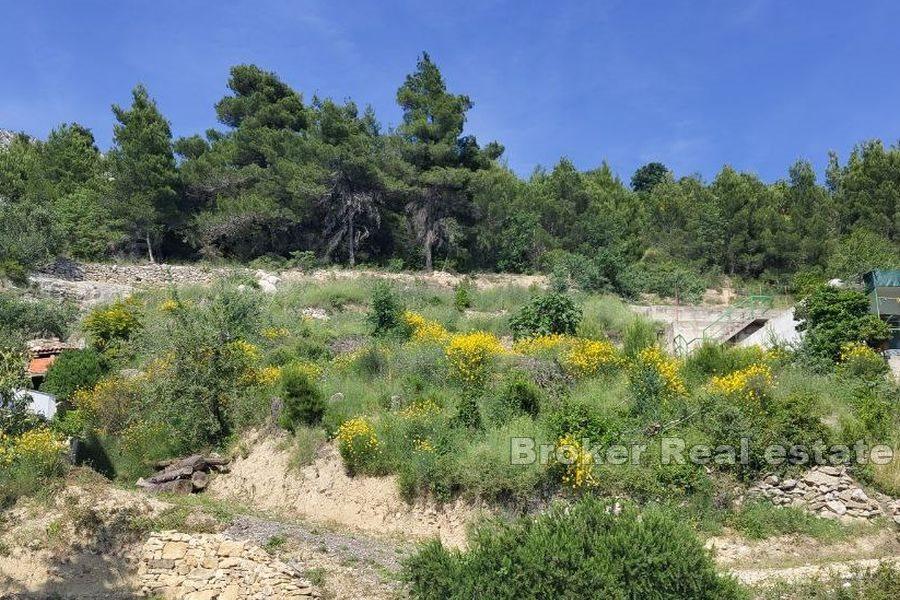 Land with a project and sea view