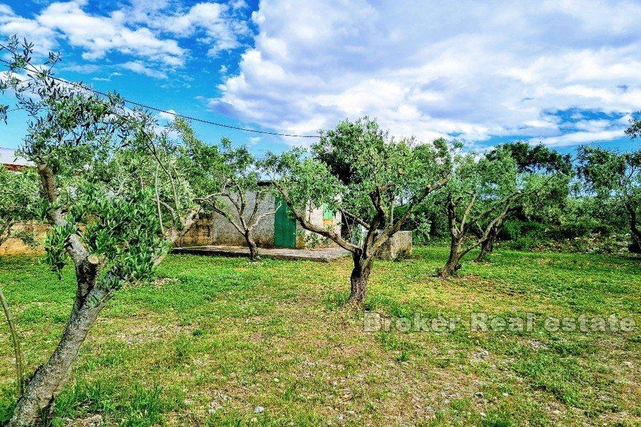 Grunty rolne blisko morza