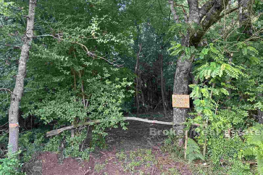 Einzigartiges Baugrundstück in ruhiger Lage