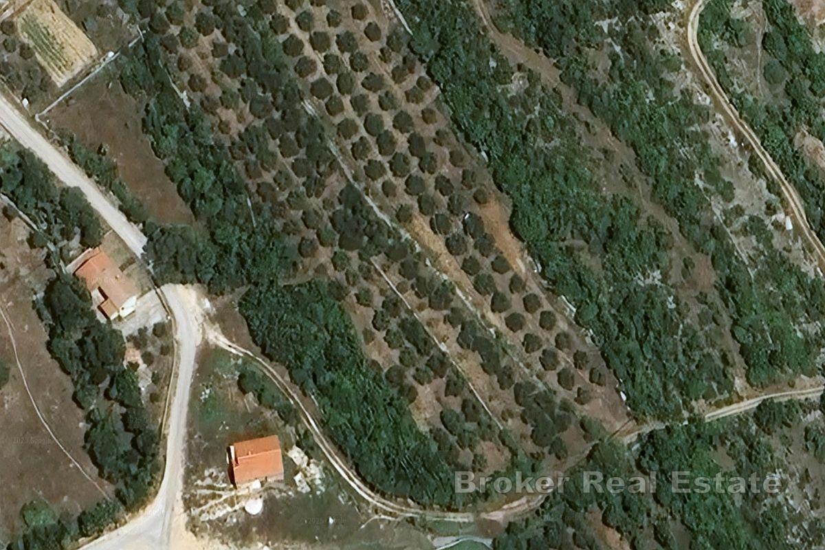 Stavební pozemek v klidné lokalitě