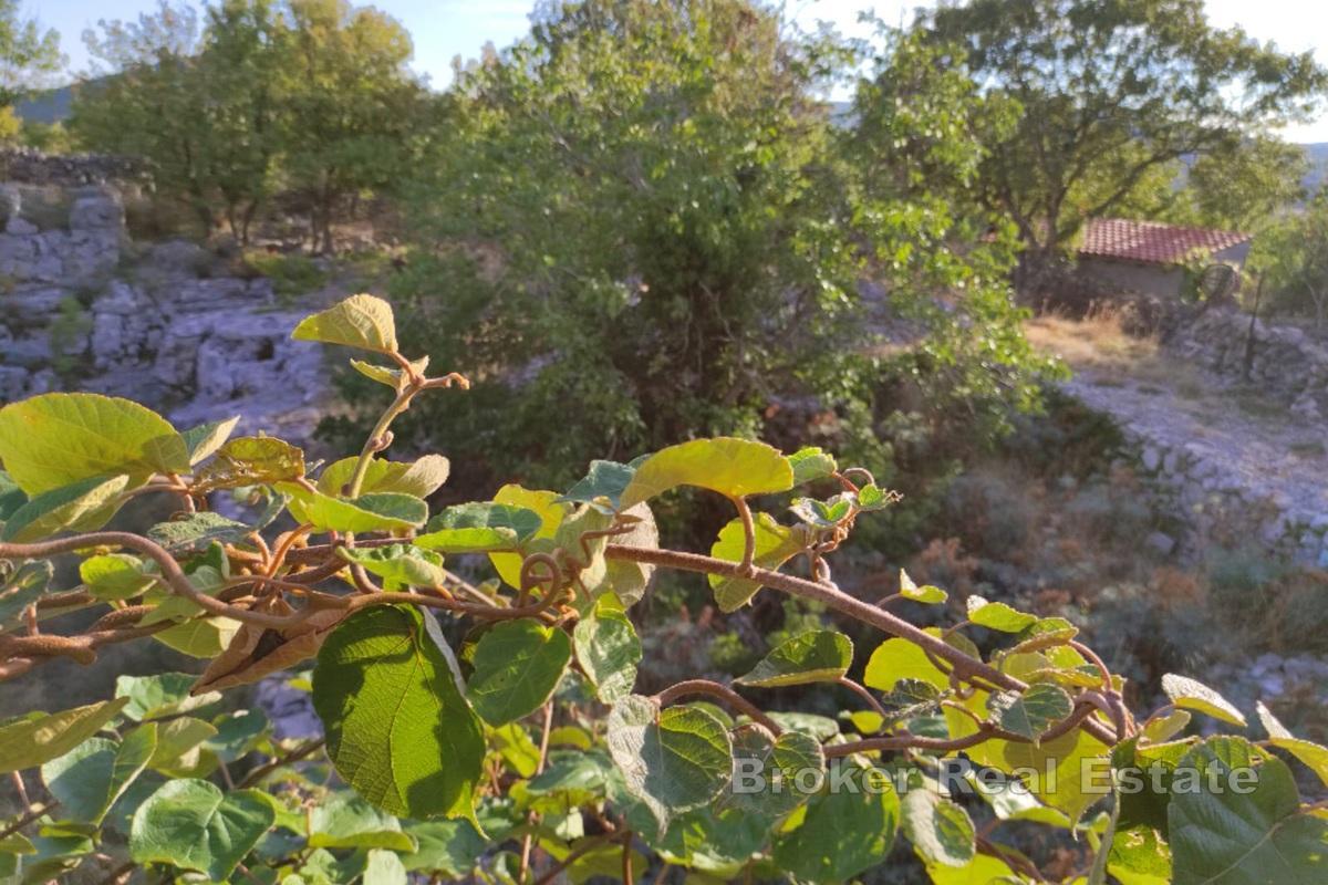 Bauland in einem Inseldorf