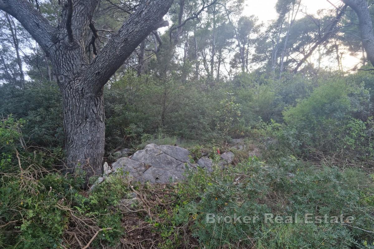 Privat øy, en fredelig oase midt i naturen