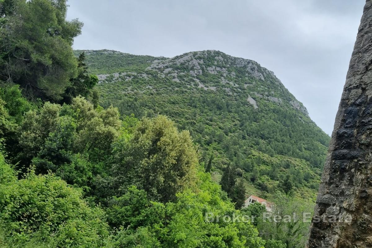 Terrain dans un cadre unique