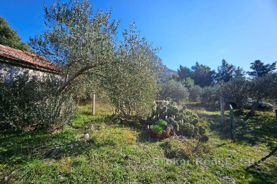 Jordbruksmark med en extrabyggnad