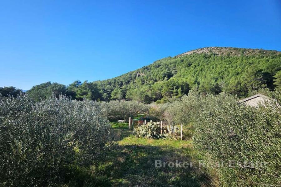 Jordbruksmark med en extrabyggnad