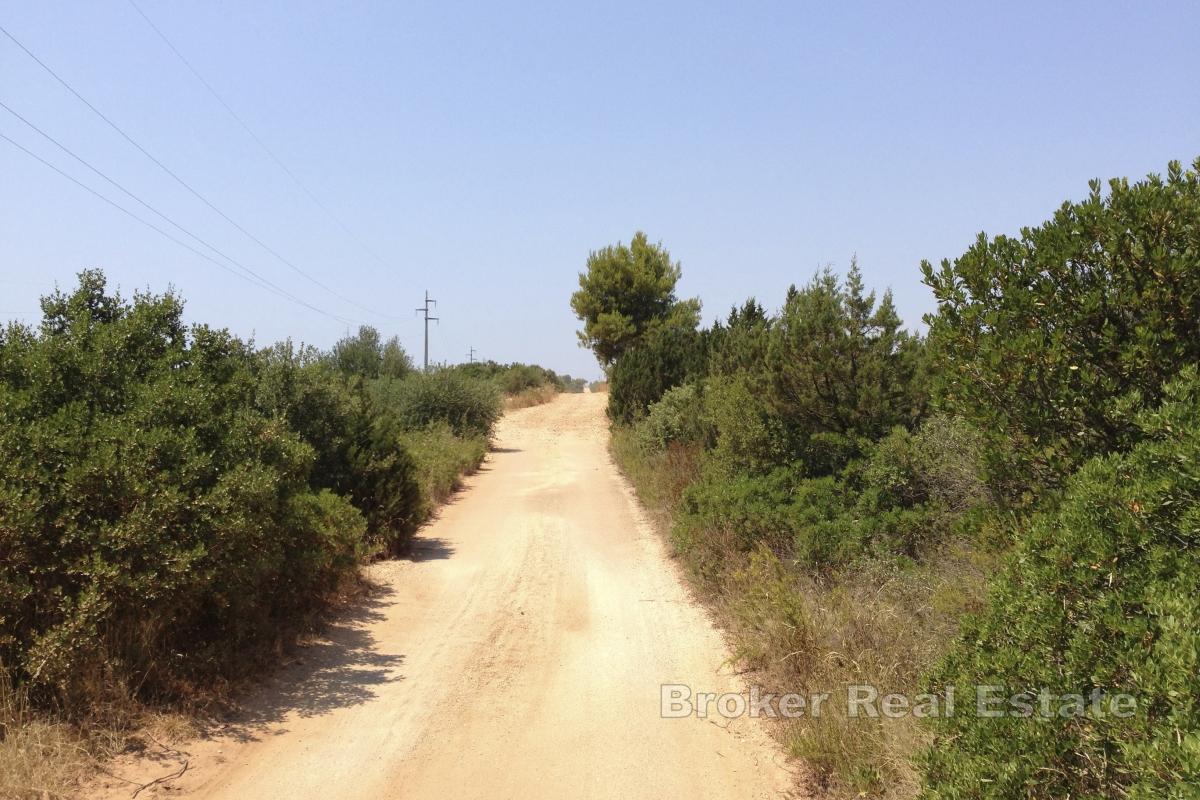 Vaste terrain agricole près de la mer