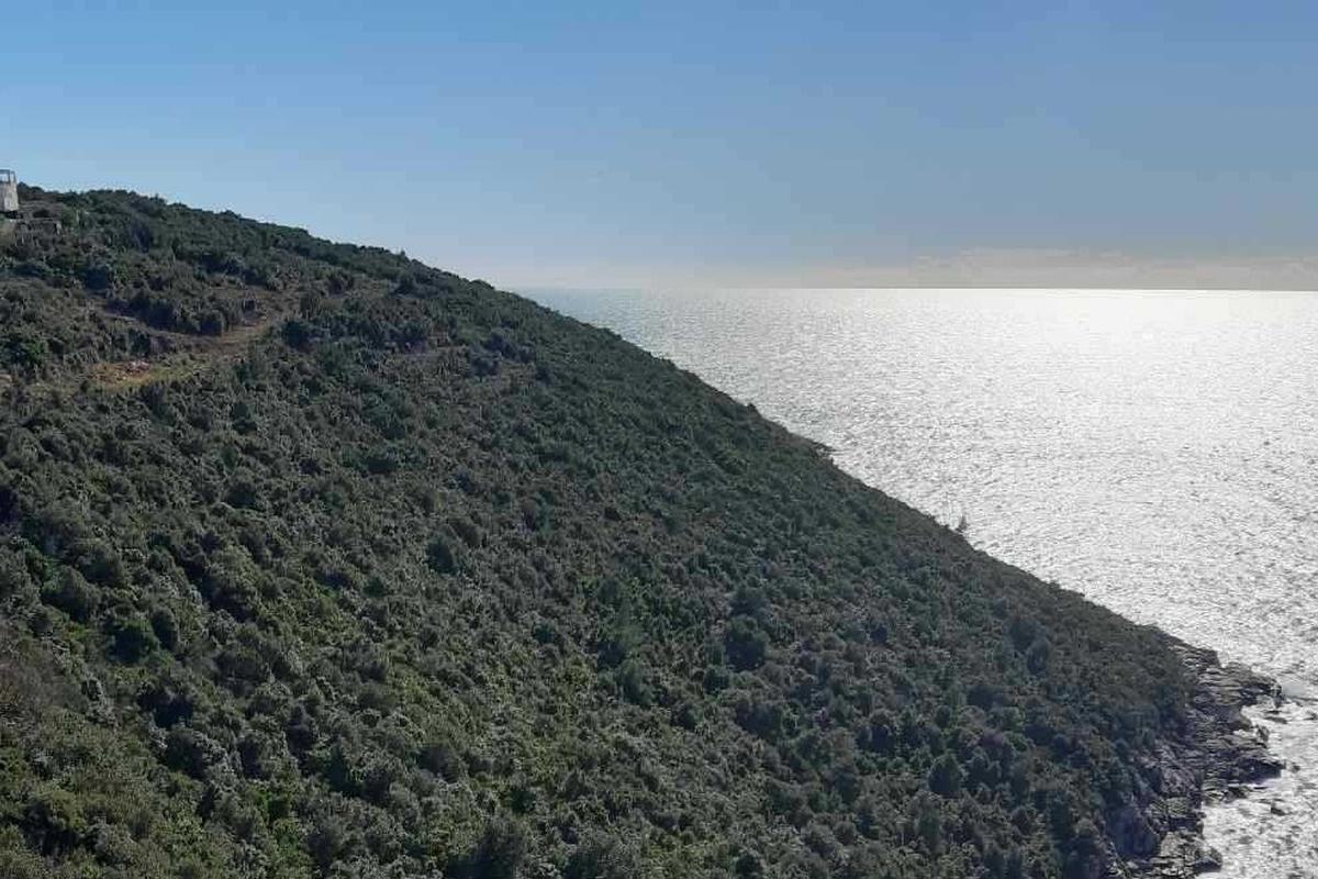 001-5507-30-Cavtat-Spacious-building-land-in-the-first-row-to-the-sea-for-sale