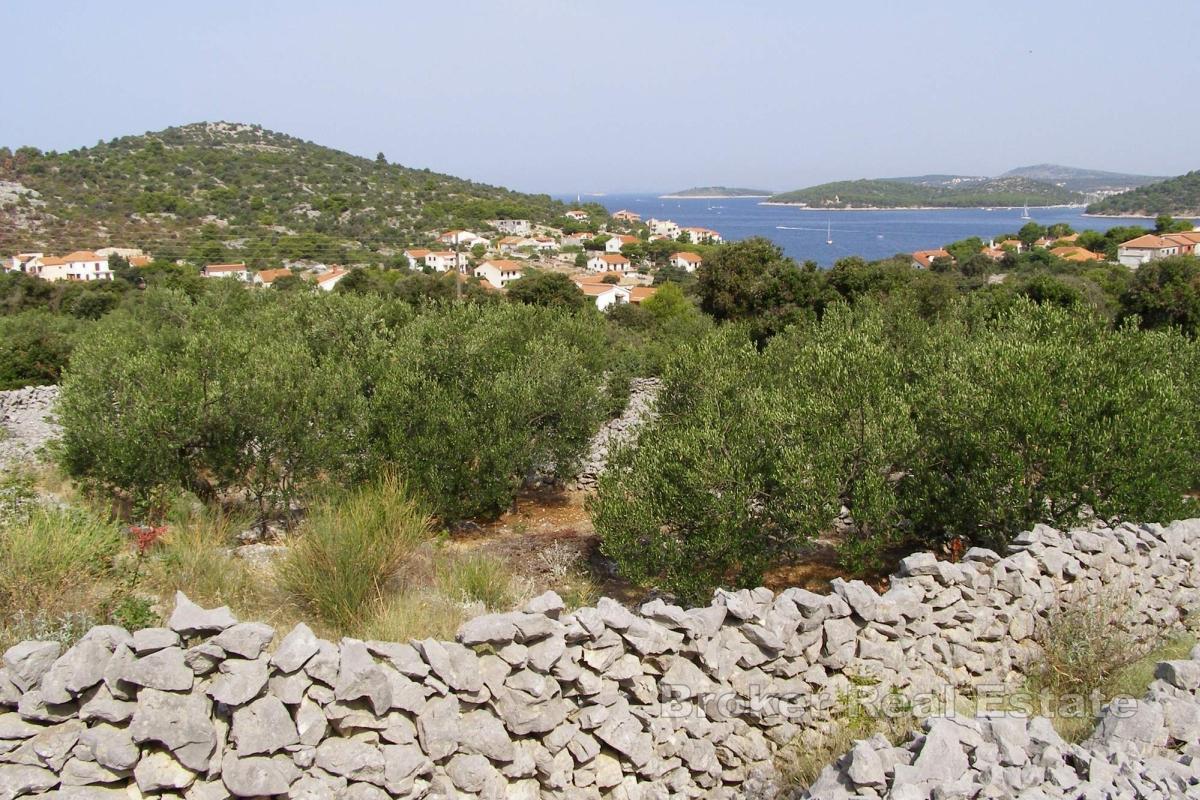 Terreno agricolo con vista mare