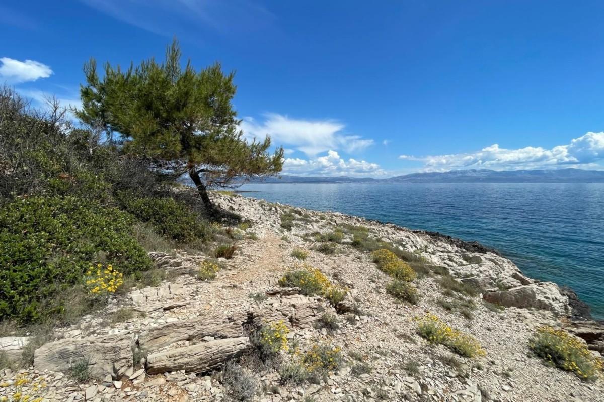 001-5517-30-Solta-attractive-land-first-row-to-the-sea-for-sale