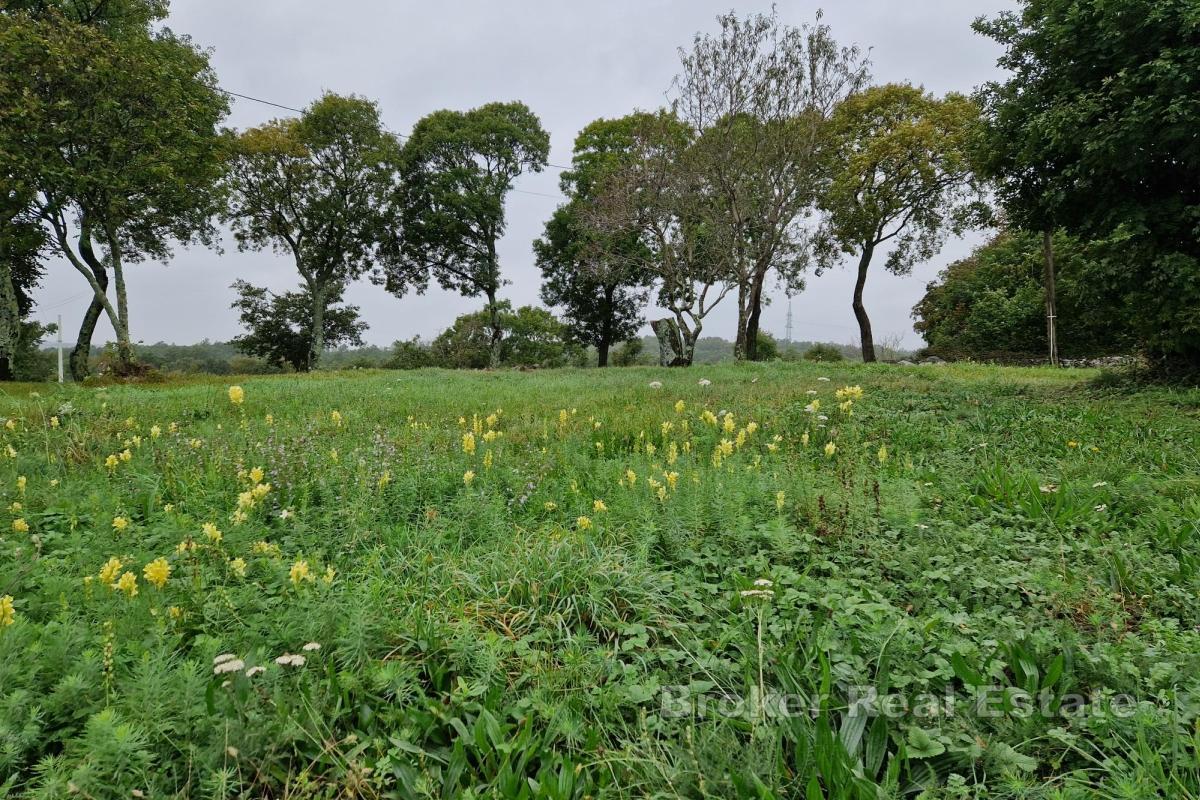 Terrain constructible dans un cadre idyllique