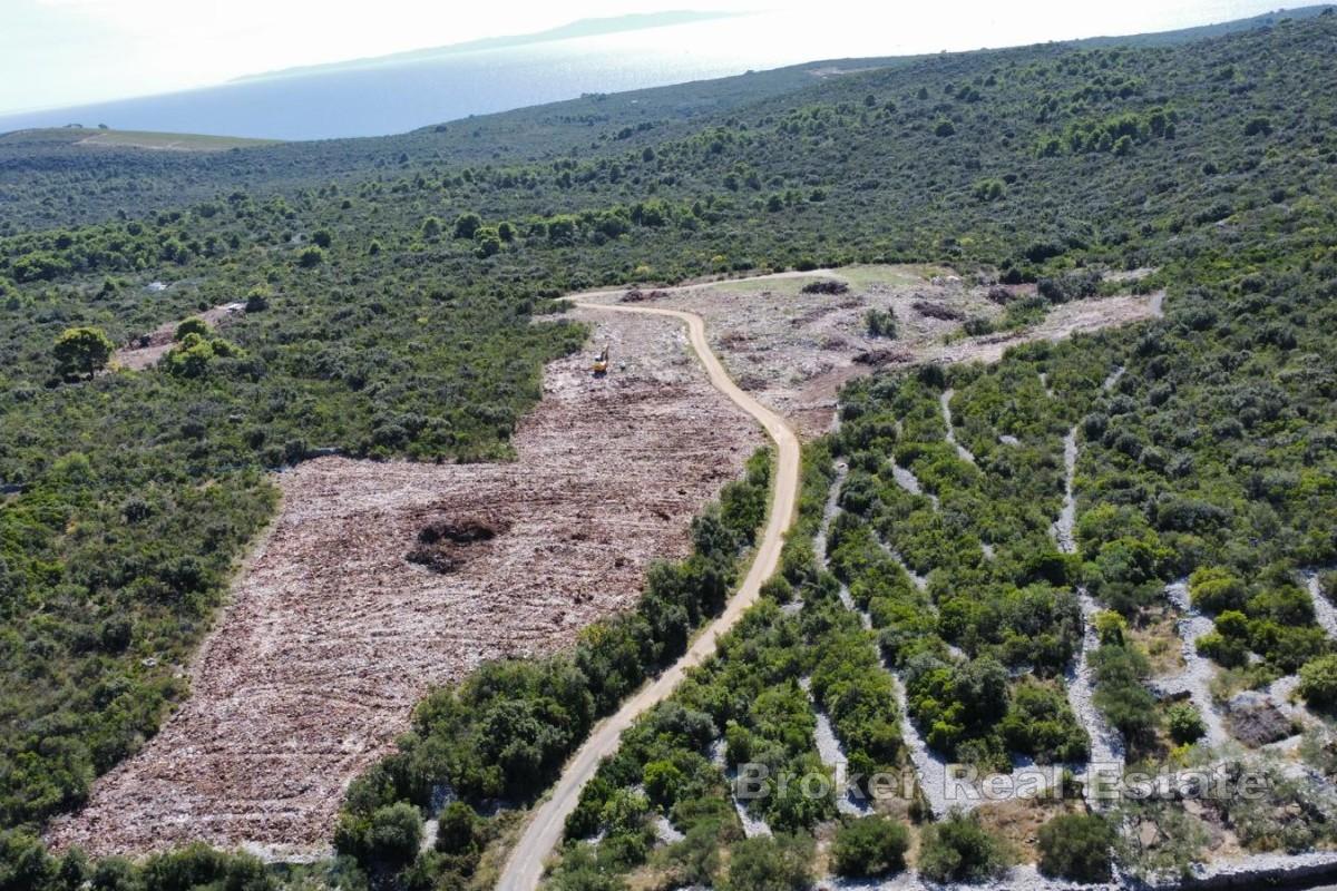 Terreno agricolo di pregio a Šolta