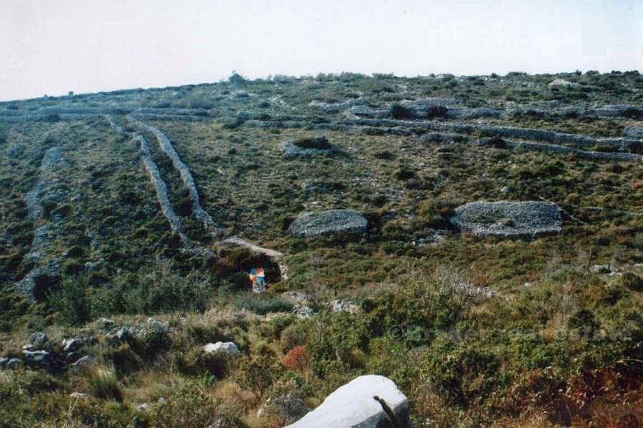Land plot of 52 000 m2, for sale