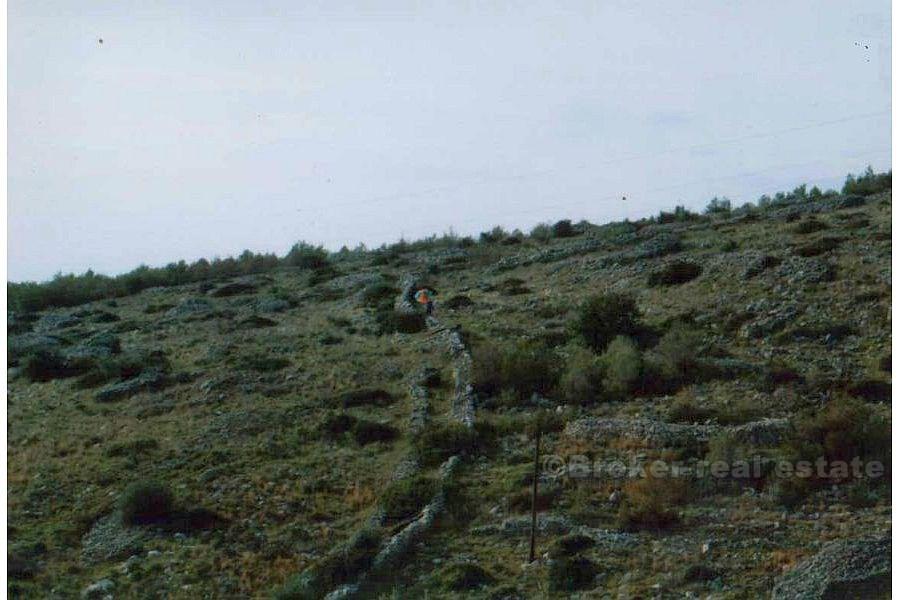 Terrain de 52 000 m2, à vendre