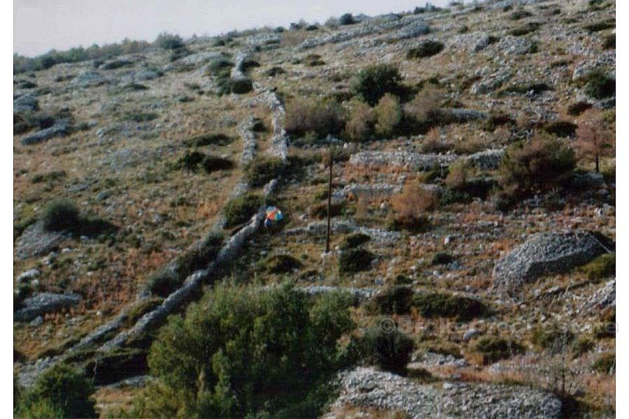 Terrain de 52 000 m2, à vendre