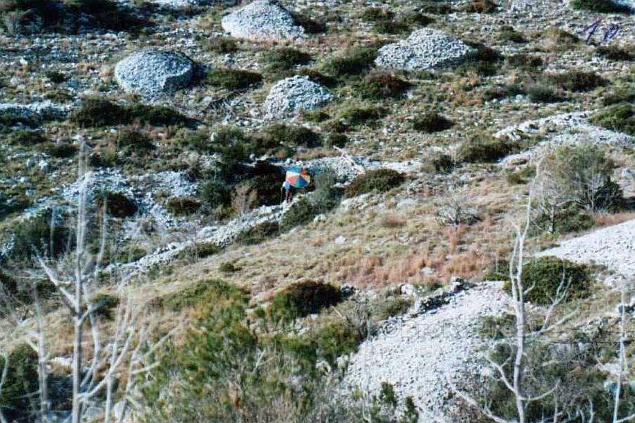 Tomt på 52 000 m2, till försäljning