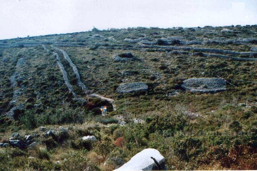 Terrain de 52 000 m2, à vendre