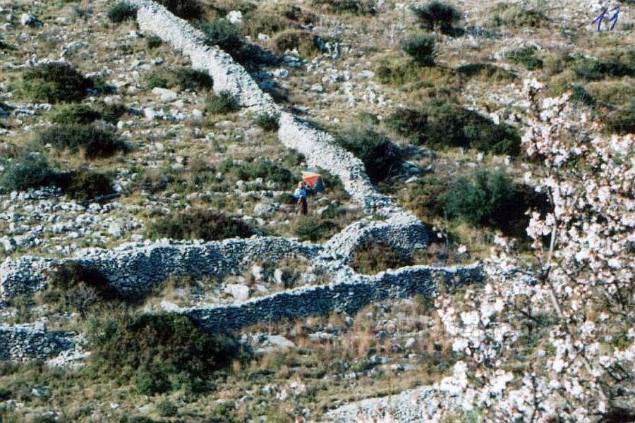 Terrain de 52 000 m2, à vendre