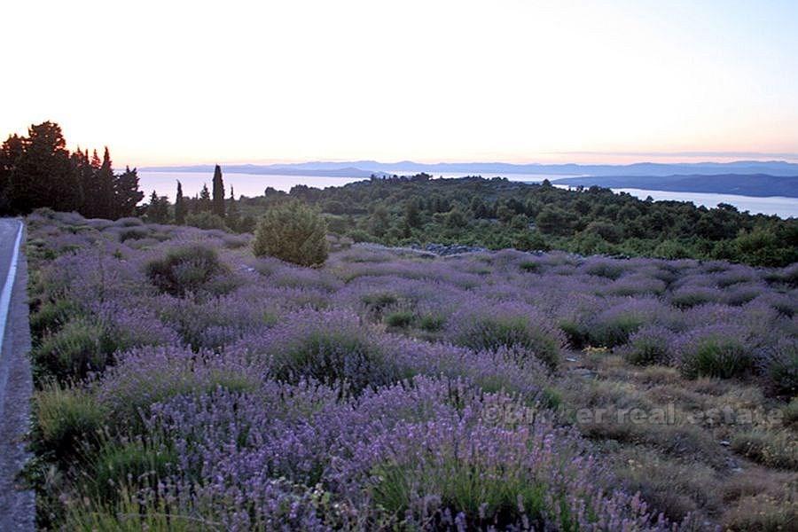 Строительный участок, для продажи