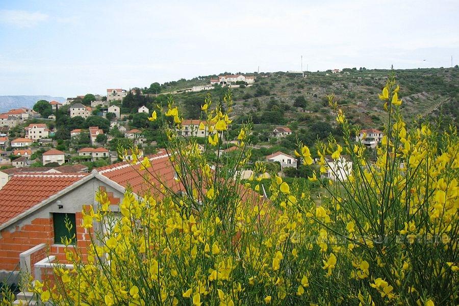 Terrain à batir, à vendre