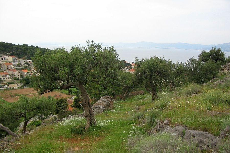 Terrain à batir, à vendre