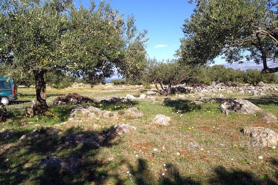 Terrain agricole, à vendre