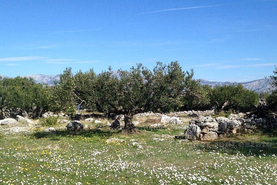 Terrain agricole, à vendre