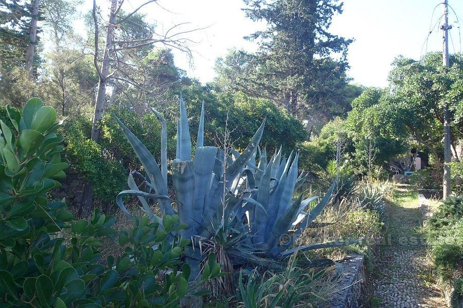 Building land, for sale