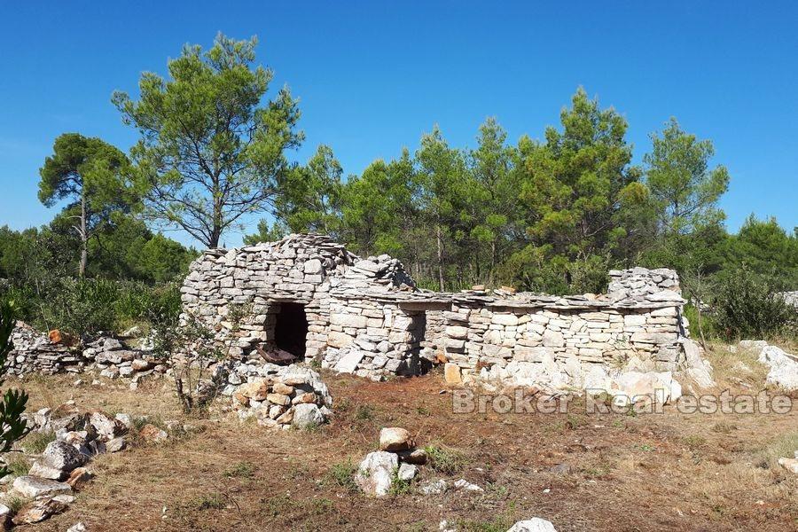 Terrain agricole avec une ruine en pierre