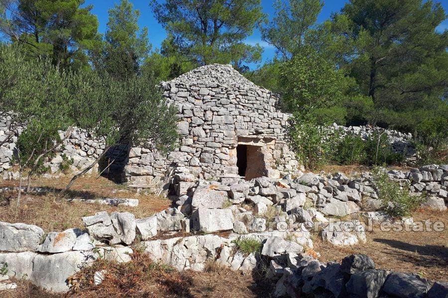 Agricultural land with a stone ruin