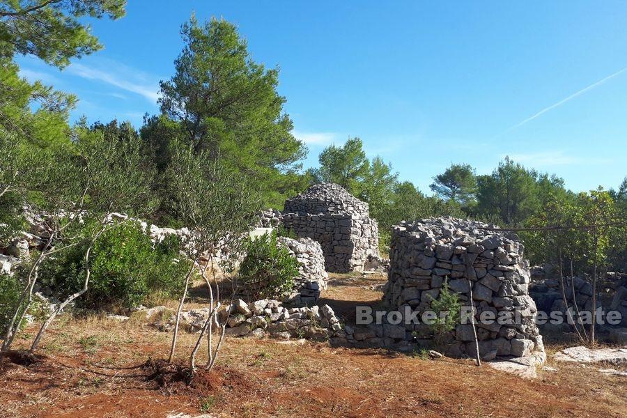 Agricultural land with a stone ruin