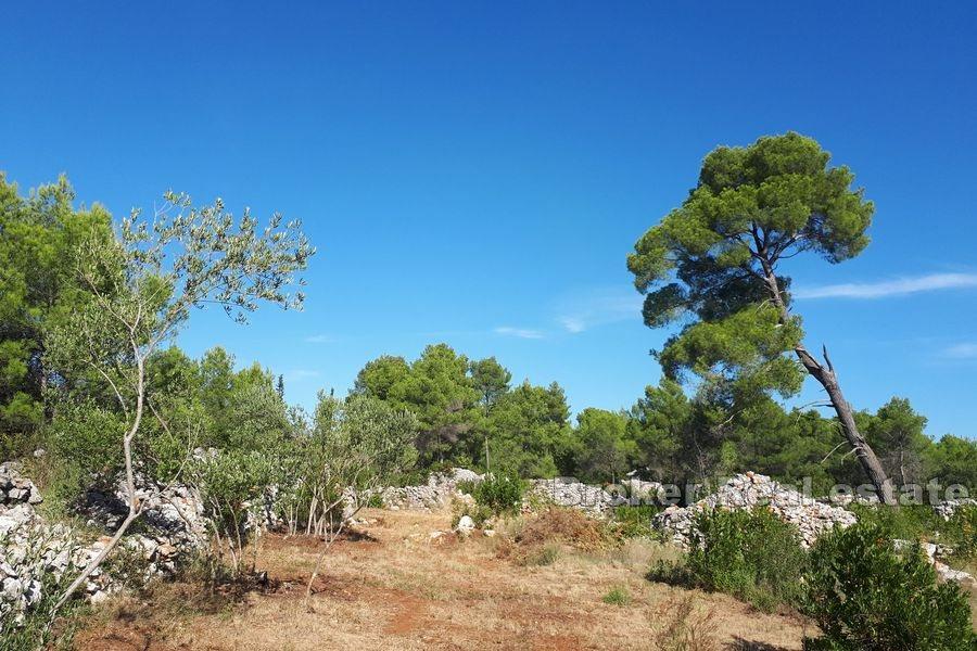 Agricultural land with a stone ruin