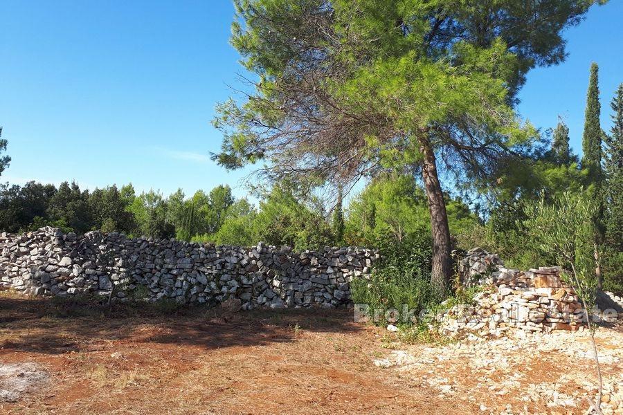 Agricultural land with a stone ruin