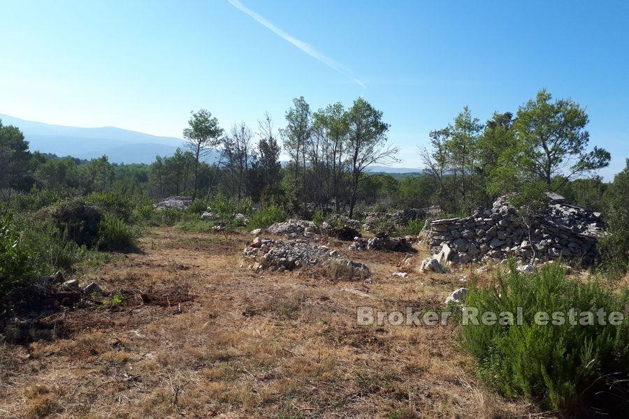 Landbruksland med en steinruin