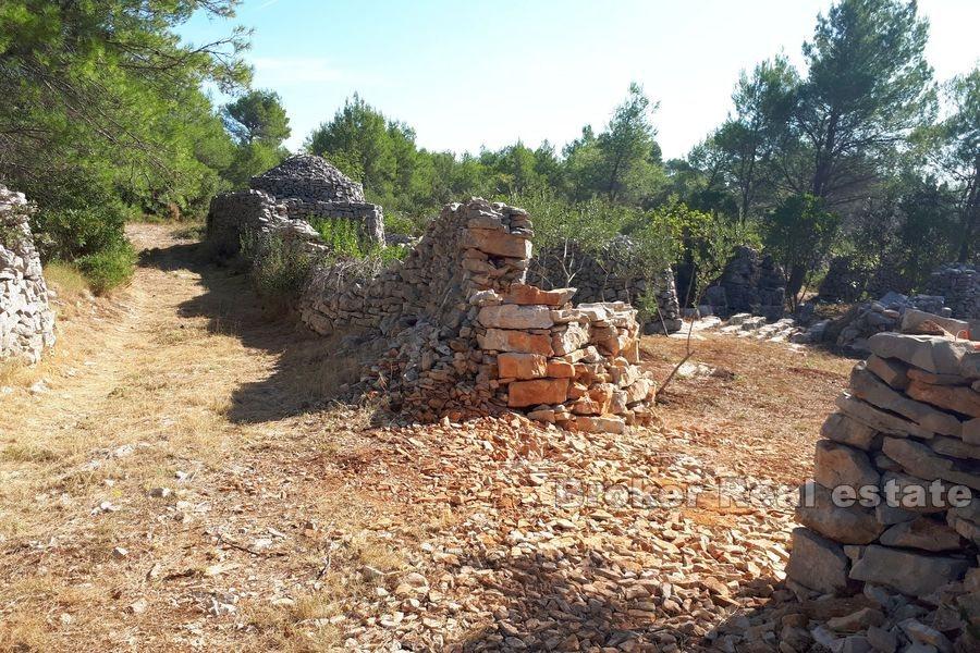 Agricultural land with a stone ruin