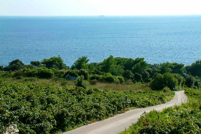 Stavební pozemek k prodeji