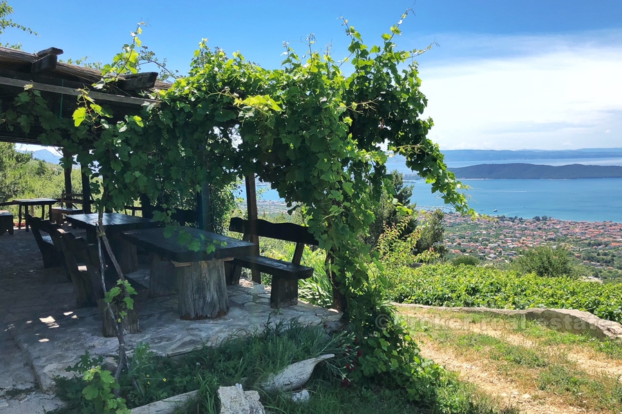 17 2022 144 Kastela House vineyard sea view for sale
