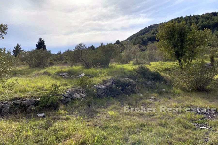 001 5011 30 building land with sea view Dubrovnik Slano for sale