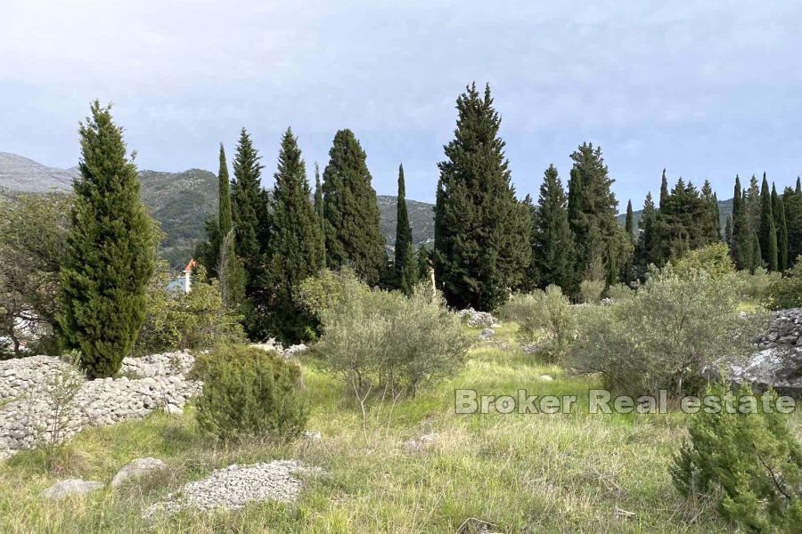 006 5011 30 building land with sea view Dubrovnik Slano for sale