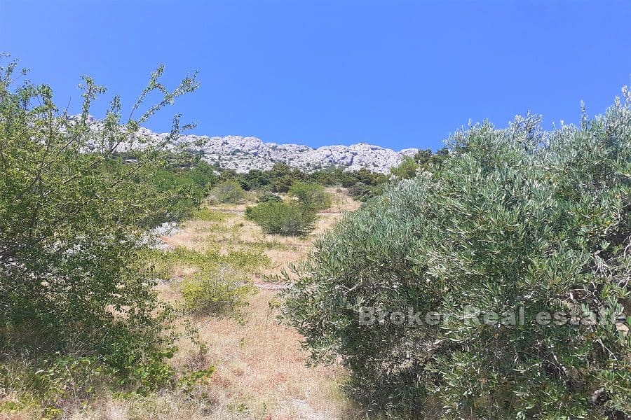 003 2021 286 Building land with panoramic sea view Omis for sale